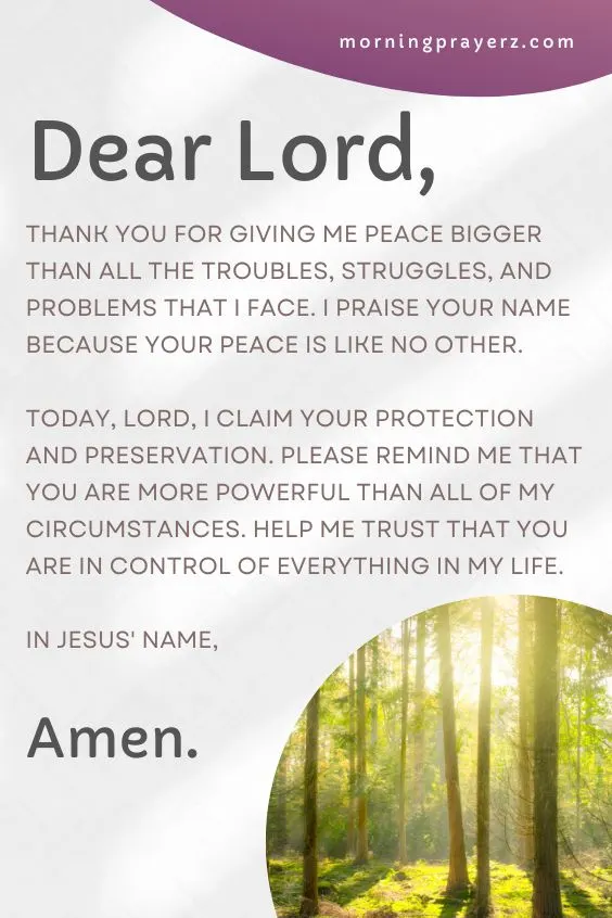 Dear Lord, Thank you for giving me peace bigger than all the troubles, struggles, and problems that I face. I praise Your Name because Your peace is like no other. Today, Lord, I claim Your protection and preservation. Please remind me that You are more powerful than all of my circumstances. Help me trust that You are in control of everything in my life. In Jesus' name, Amen.
