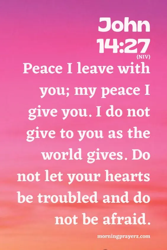 Peace I leave with you; my peace I give you. I do not give to you as the world gives. Do not let your hearts be troubled and do not be afraid.John 14:27 (NIV)