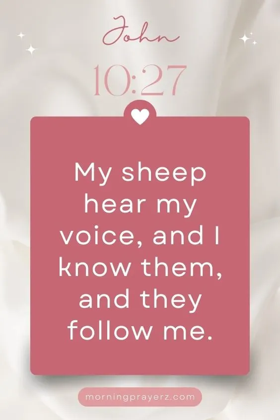 My sheep hear my voice, and I know them, and they follow me (John 10:27)
