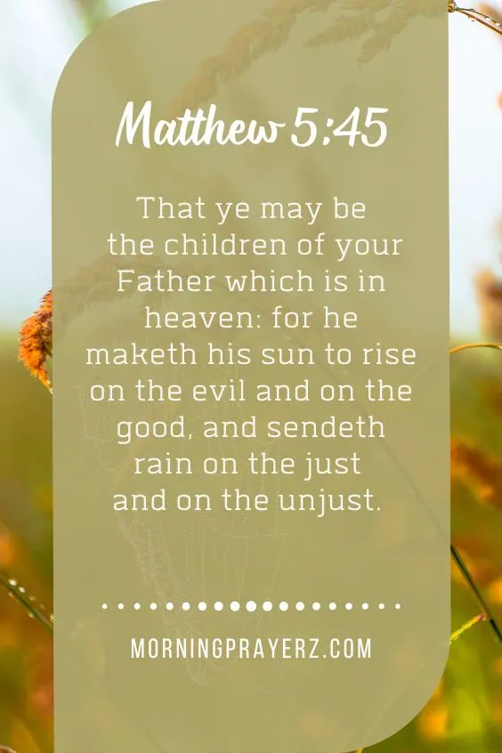 That ye may be the children of your Father which is in heaven: for he maketh his sun to rise on the evil and on the good, and sendeth rain on the just and on the unjust.