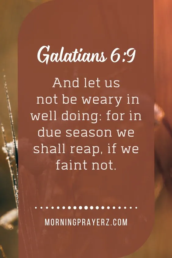 &ldquo;And let us not be weary in well doing: for in due season we shall reap, if we faint not.&rdquo; 