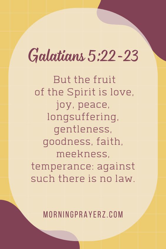 “But the fruit of the Spirit is love, joy, peace, longsuffering, gentleness, goodness, faith, meekness, temperance: against such there is no law.”