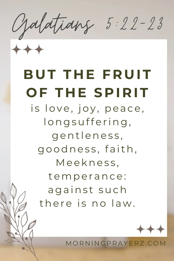 But the fruit of the Spirit is love, joy, peace, longsuffering, gentleness, goodness, faith, Meekness, temperance: against such there is no law.