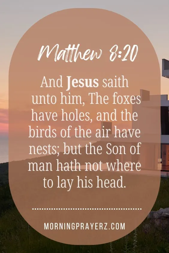 And Jesus saith unto him, The foxes have holes, and the birds of the air have nests; but the Son of man hath not where to lay his head. Matthew 8:20