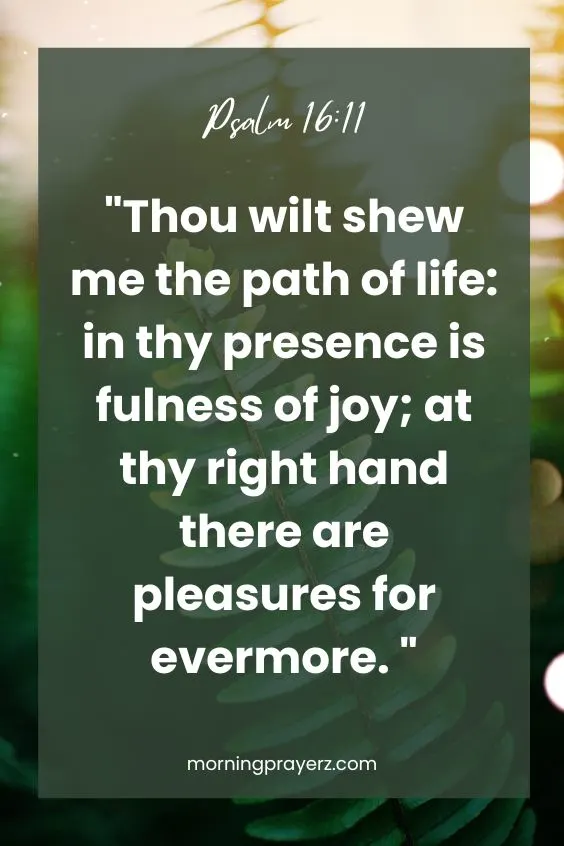 Morning Prayer for Gratitude for Your Husband