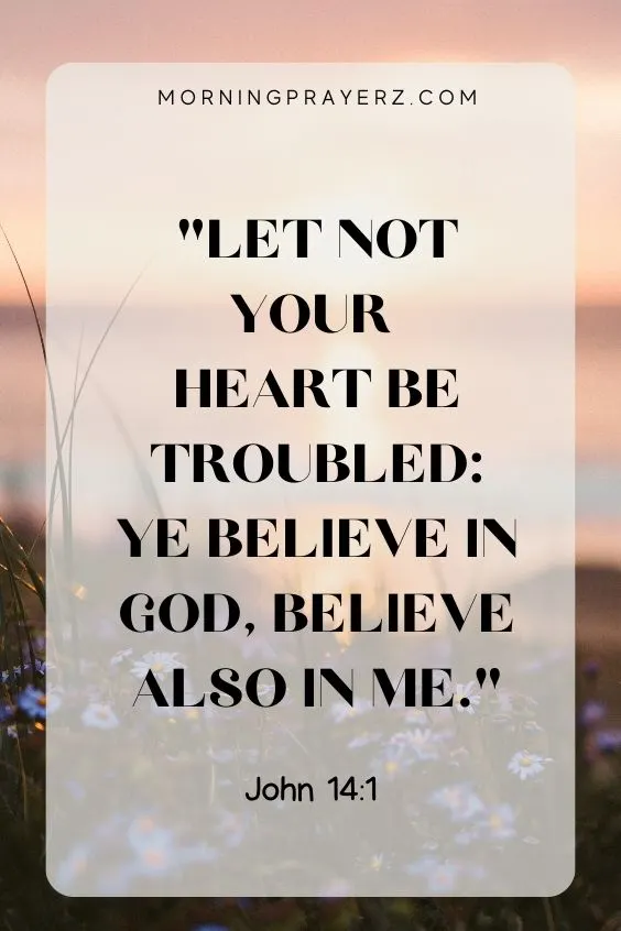Let not your heart be troubled: ye believe in God, believe also in me. John 14:1