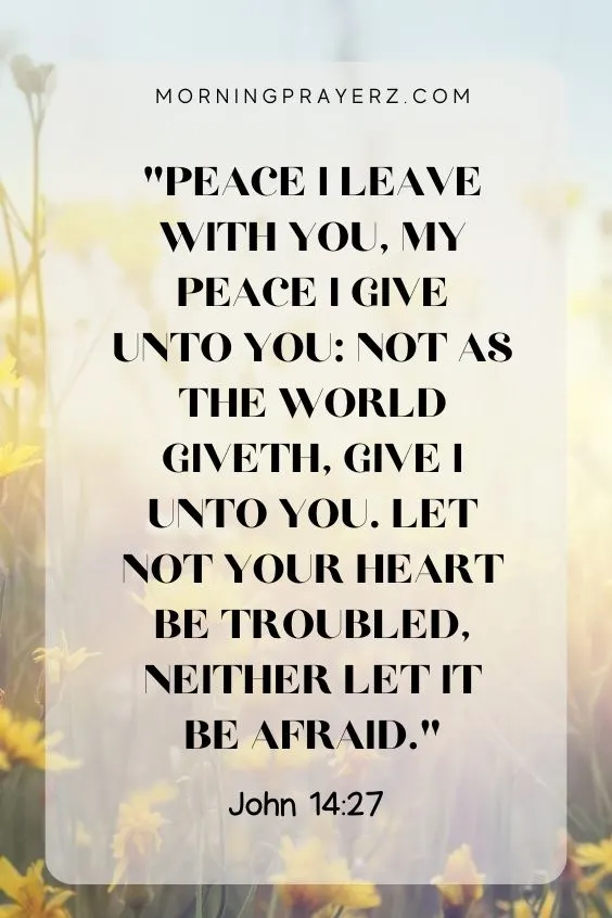 Peace I leave with you, my peace I give unto you: not as the world giveth, give I unto you. Let not your heart be troubled, neither let it be afraid. John 14:27