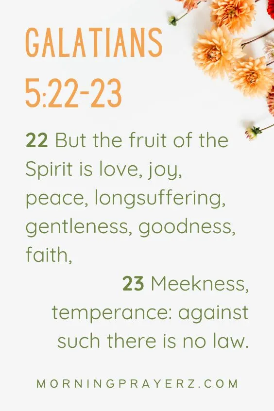 Galatians 5:22-23 - 22 But the fruit of the Spirit is love, joy, peace, longsuffering, gentleness, goodness, faith, 23 Meekness, temperance: against such there is no law.