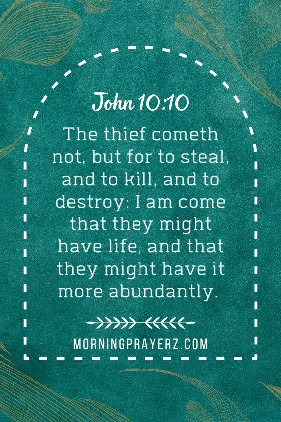 The thief cometh not, but for to steal, and to kill, and to destroy: I am come that they might have life, and that they might have it more abundantly. 