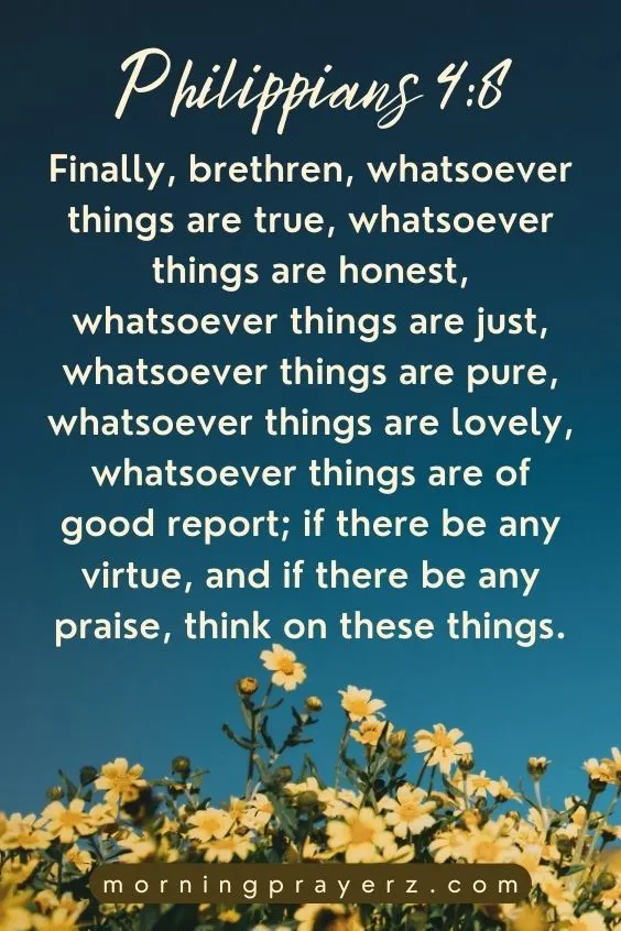 Finally, brethren, whatsoever things are true, whatsoever things are honest, whatsoever things are just, whatsoever things are pure, whatsoever things are lovely, whatsoever things are of good report; if there be any virtue, and if there be any praise, think on these things.