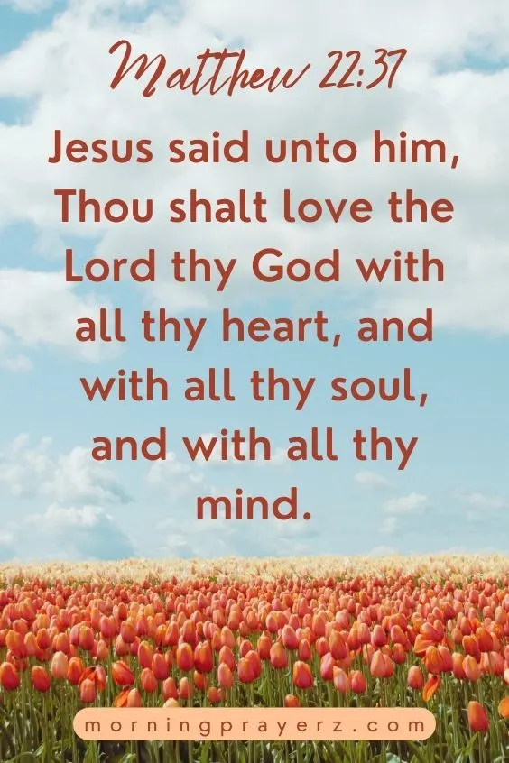 Jesus said unto him, Thou shalt love the Lord thy God with all thy heart, and with all thy soul, and with all thy mind.