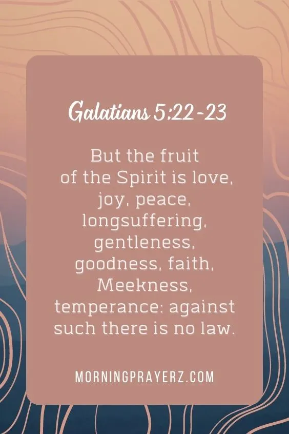 But the fruit of the Spirit is love, joy, peace, longsuffering, gentleness, goodness, faith, Meekness, temperance: against such there is no law.