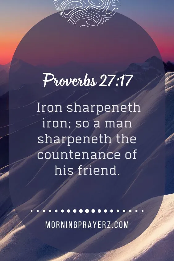 Iron sharpeneth iron; so a man sharpeneth the countenance of his friend.