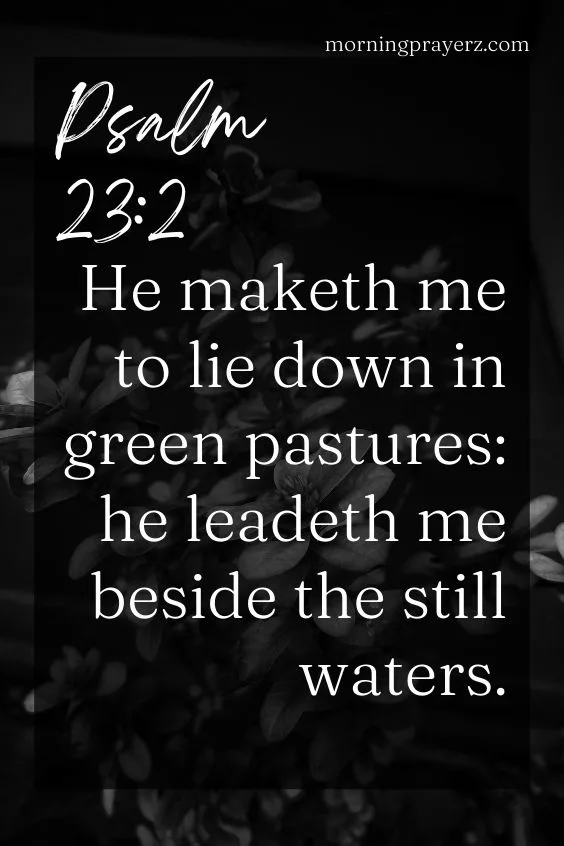 He maketh me to lie down in green pastures: he leadeth me beside the still waters. Psalm 23:2
