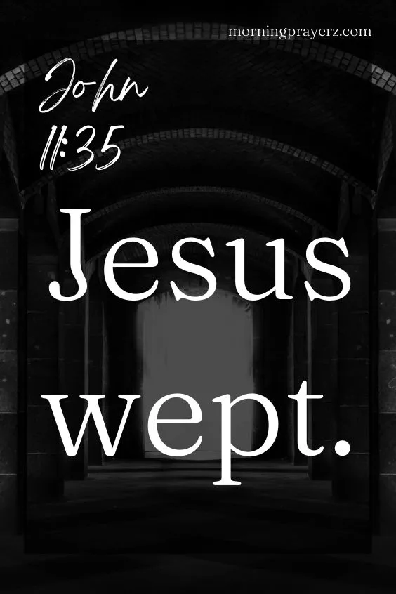 Jesus wept. John 11:35