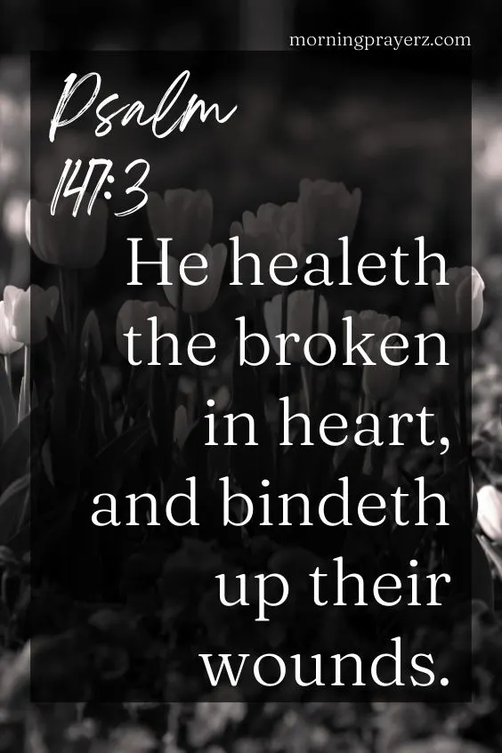 He healeth the broken in heart, and bindeth up their wounds. Psalm 147:3