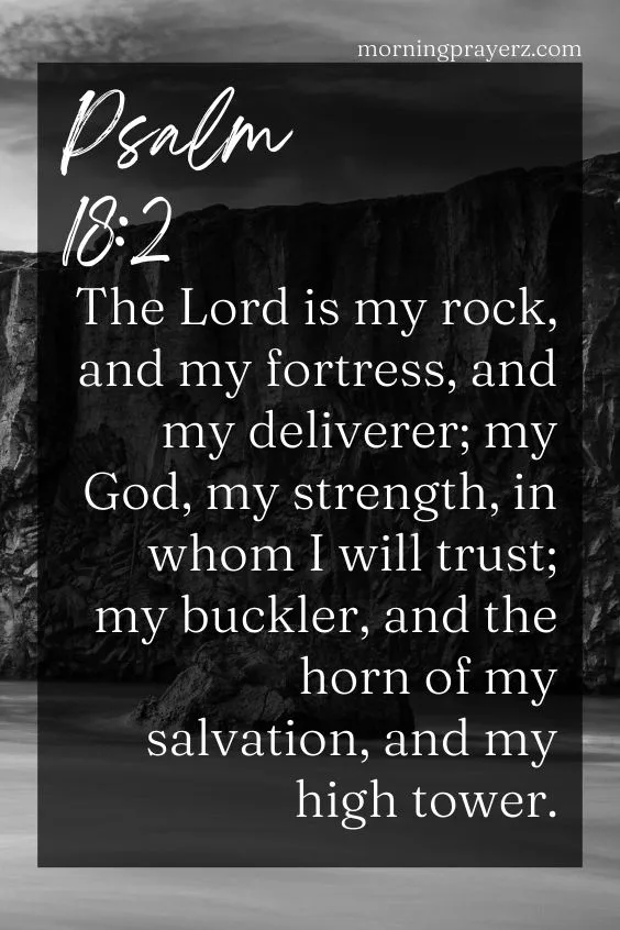 The Lord is my rock, and my fortress, and my deliverer; my God, my strength, in whom I will trust; my buckler, and the horn of my salvation, and my high tower. Psalm 18:2