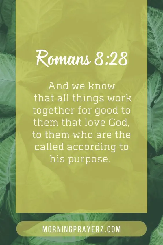 And we know that all things work together for good to them that love God, to them who are the called according to his purpose.