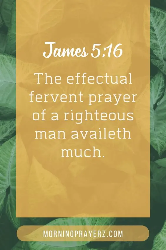 "The effectual fervent prayer of a righteous man availeth much."