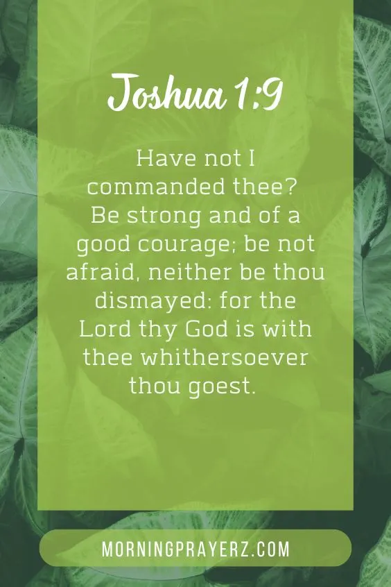 Have not I commanded thee? Be strong and of a good courage; be not afraid, neither be thou dismayed: for the Lord thy God is with thee whithersoever thou goest.