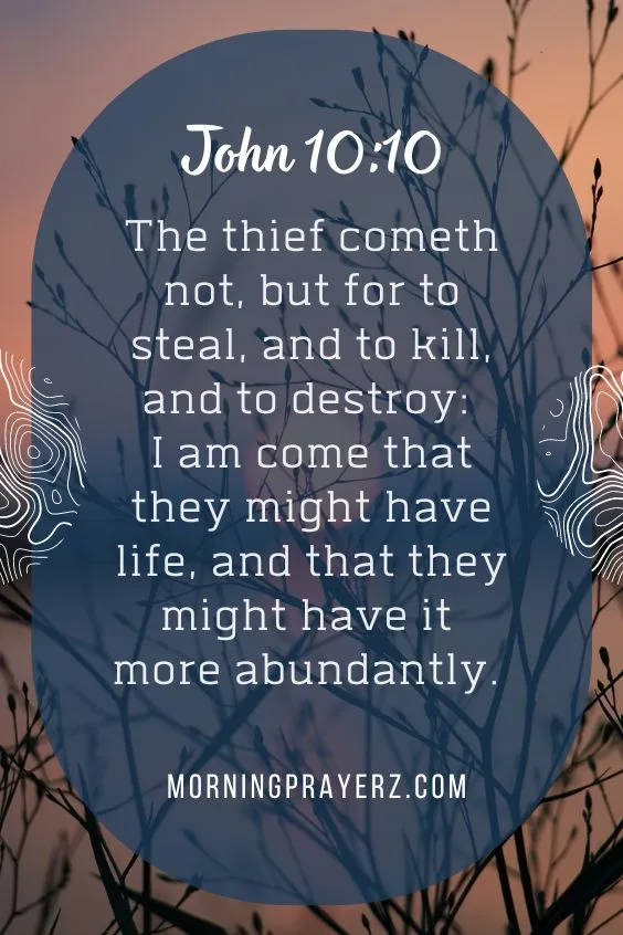 The thief cometh not, but for to steal, and to kill, and to destroy: I am come that they might have life, and that they might have it more abundantly.