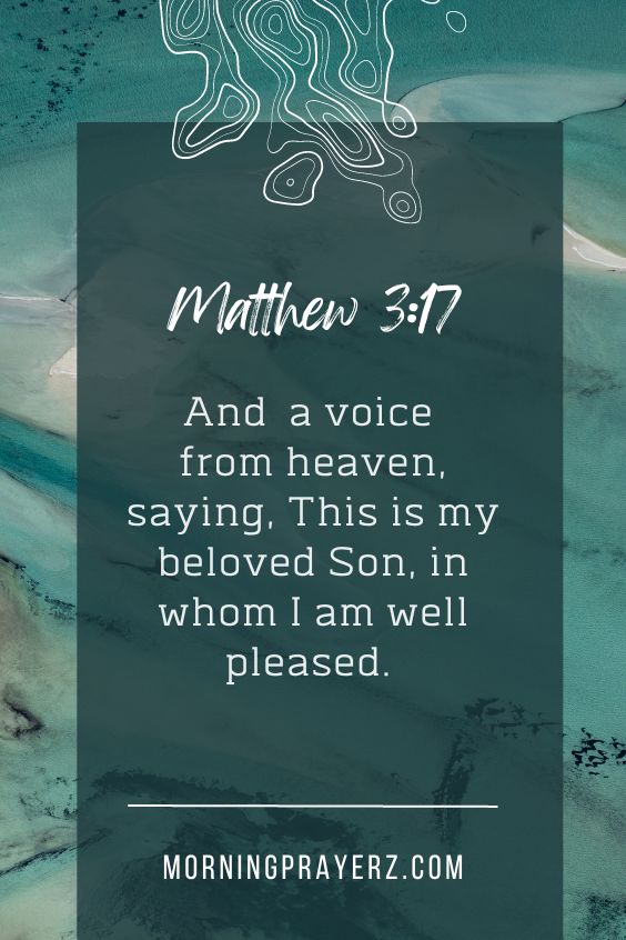 And lo a voice from heaven, saying, This is my beloved Son, in whom I am well pleased.