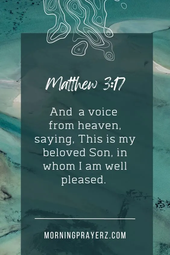 And lo a voice from heaven, saying, This is my beloved Son, in whom I am well pleased.