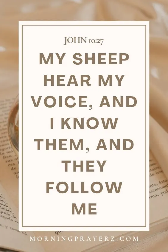 My sheep hear my voice, and I know them, and they follow me: