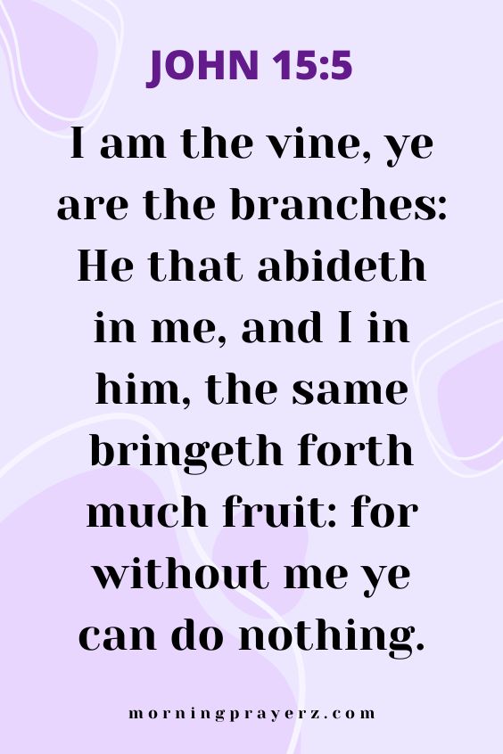 I am the vine, ye are the branches: He that abideth in me, and I in him, the same bringeth forth much fruit: for without me ye can do nothing. 