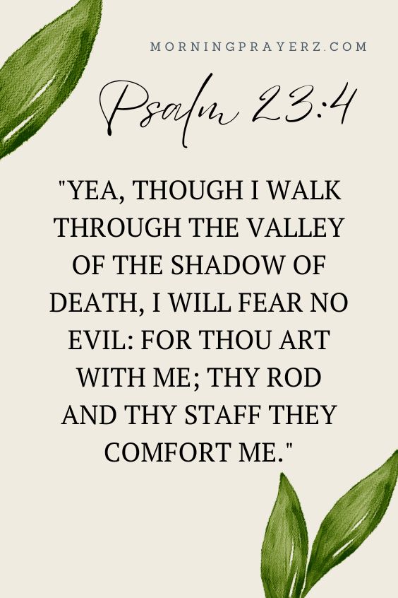 Yea, though I walk through the valley of the shadow of death, I will fear no evil: for thou art with me; thy rod and thy staff they comfort me.