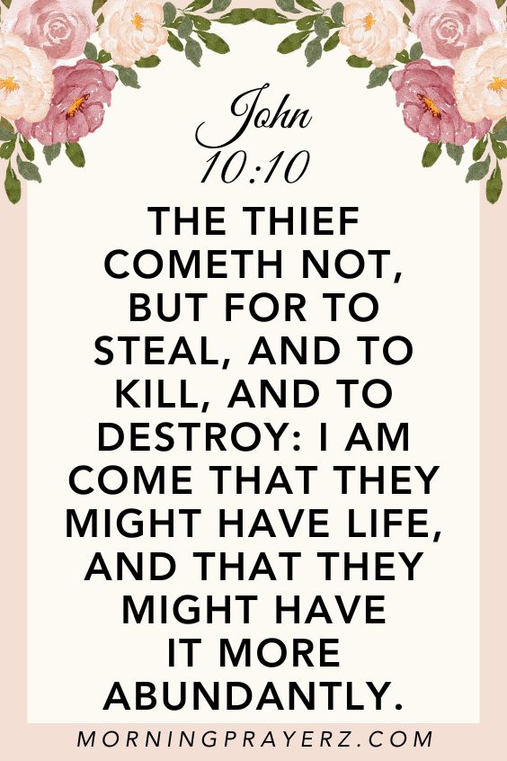 The thief cometh not, but for to steal, and to kill, and to destroy: I am come that they might have life, and that they might have it more abundantly. John 10:10
