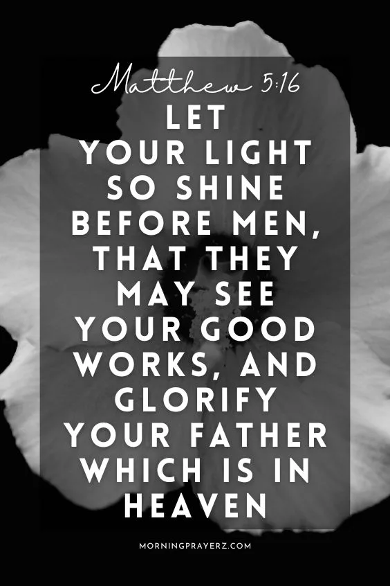 &ldquo;Let your light so shine before men, that they may see your good works, and glorify your Father which is in heaven&rdquo; - Matthew 5:16
