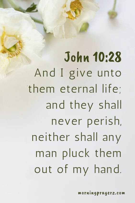 John 10:28, "And I give unto them eternal life; and they shall never perish, neither shall any man pluck them out of my hand.