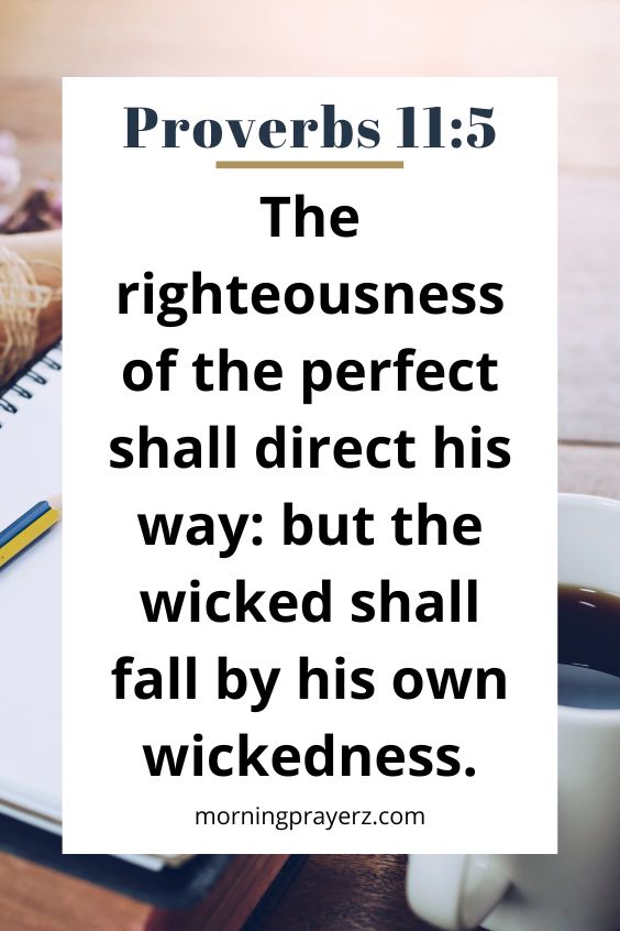 The righteousness of the perfect shall direct his way: but the wicked shall fall by his own wickedness.