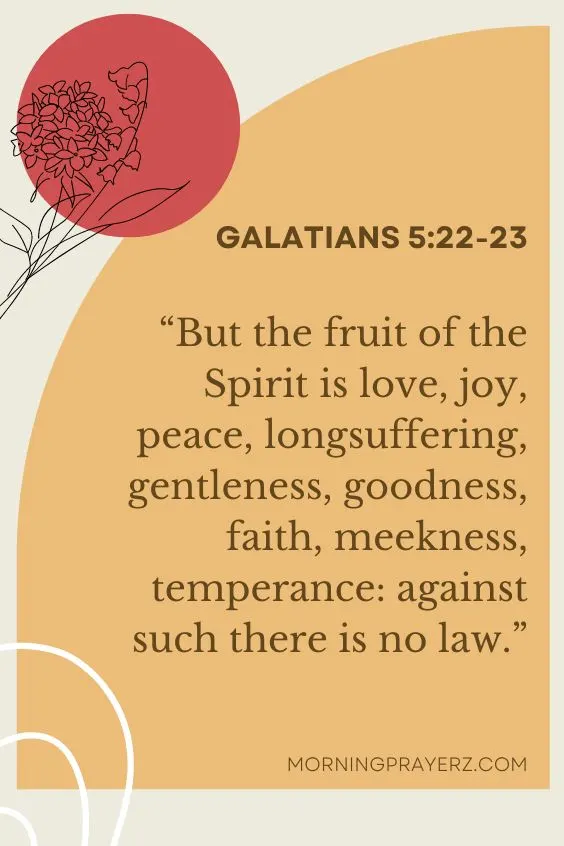 “But the fruit of the Spirit is love, joy, peace, longsuffering, gentleness, goodness, faith, meekness, temperance: against such there is no law.”