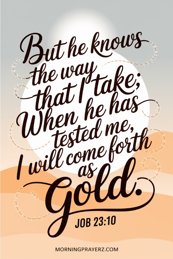  But he knows the way that I take; when he has tested me, I will come forth as gold